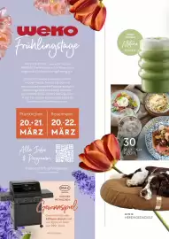 WEKO Katalog Seite 4