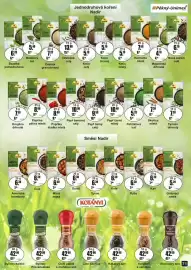 Adam leták Strana 71