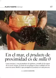 Catálogo El Corte Inglés Página 48