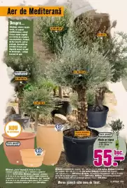 Magazine Hornbach Pagină 12