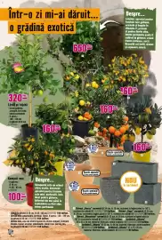 Magazine Hornbach Pagină 14