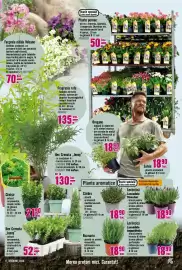 Magazine Hornbach Pagină 17