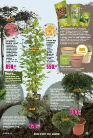 Magazine Hornbach Pagină 19