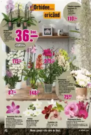 Magazine Hornbach Pagină 22