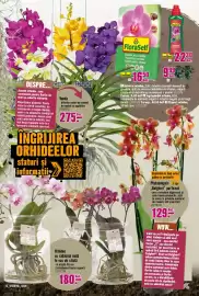 Magazine Hornbach Pagină 23
