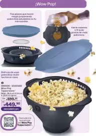 Catálogo Tupperware Página 113