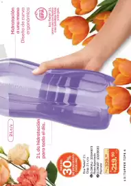 Catálogo Tupperware Página 13