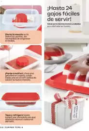 Catálogo Tupperware Página 30