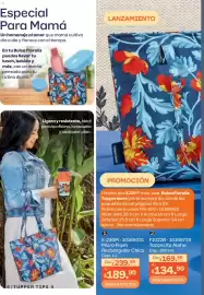 Catálogo Tupperware Página 6