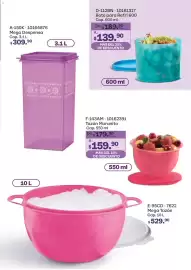 Catálogo Tupperware Página 85
