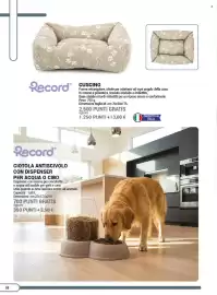 Volantino Coal Pagina 58