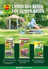 Salzburger Lagerhaus Flugblatt Seite 156