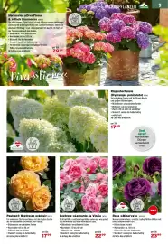 Salzburger Lagerhaus Flugblatt Seite 11