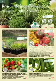 Salzburger Lagerhaus Flugblatt Seite 12