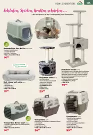 Salzburger Lagerhaus Flugblatt Seite 137