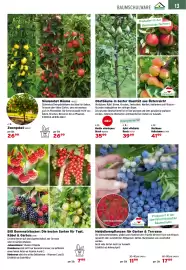 Salzburger Lagerhaus Flugblatt Seite 15