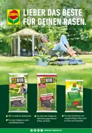 Salzburger Lagerhaus Flugblatt Seite 156