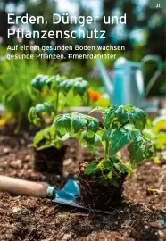 Salzburger Lagerhaus Flugblatt Seite 33