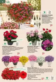 Salzburger Lagerhaus Flugblatt Seite 6