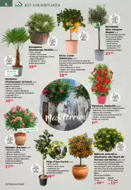 Salzburger Lagerhaus Flugblatt Seite 8