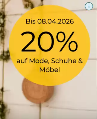 Baur (gültig bis 8-04)