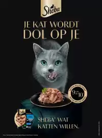 Boodschappen folder Pagina 124