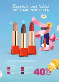 Catálogo Yves Rocher Página 39