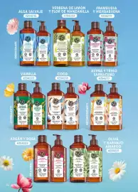 Catálogo Yves Rocher Página 44