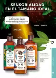 Catálogo Yves Rocher Página 47