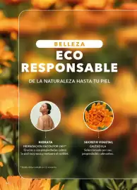 Catálogo Yves Rocher Página 60