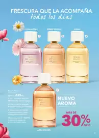 Catálogo Yves Rocher Página 7