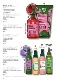 Catálogo Yves Rocher Página 74