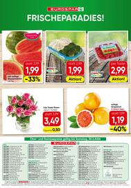 Eurospar Flugblatt Seite 16