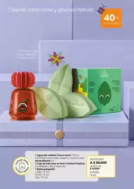 Catálogo Natura Página 17