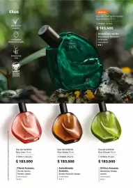 Catálogo Natura Página 55