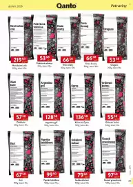 Qanto leták Strana 137