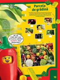 Catalog Carrefour Pagină 15