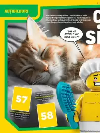 Catalog Carrefour Pagină 28