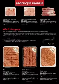 Catalog Selgros Pagină 11