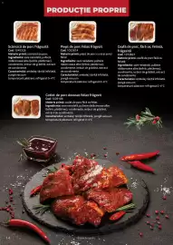 Catalog Selgros Pagină 14
