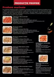 Catalog Selgros Pagină 15