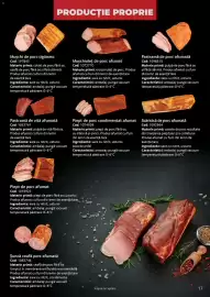 Catalog Selgros Pagină 17