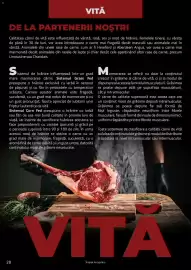 Catalog Selgros Pagină 28