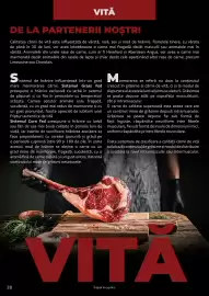 Catalog Selgros Pagină 28