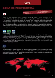 Catalog Selgros Pagină 29