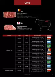 Catalog Selgros Pagină 31