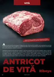 Catalog Selgros Pagină 32