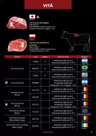 Catalog Selgros Pagină 33