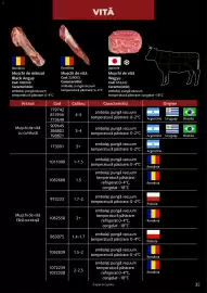 Catalog Selgros Pagină 35