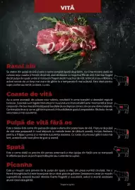 Catalog Selgros Pagină 37